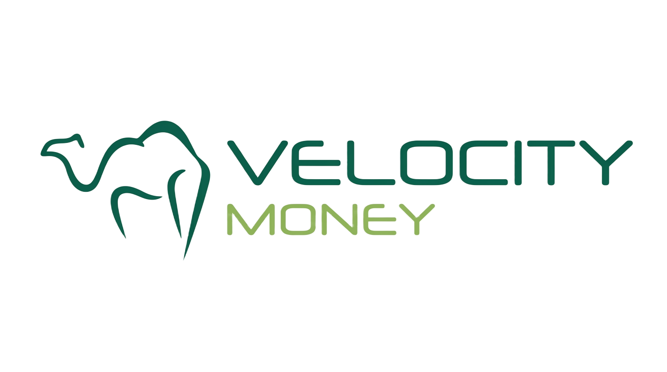 Velocity Money